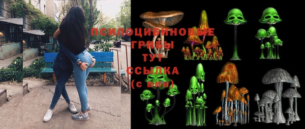 дживик Алзамай