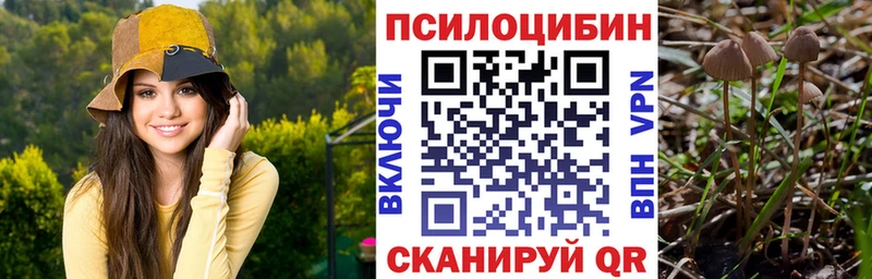 Псилоцибиновые грибы прущие грибы  мега зеркало  Светлоград  цены наркотик 